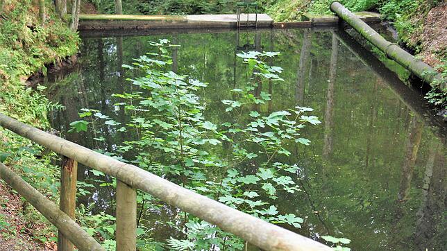 Die Natur rund um Todtmoos ist ein wichtiger Bestandteil der Gesundheitswoche. Im Bild der idyllisch gelegene Sägeweiher am oberen Ende ...