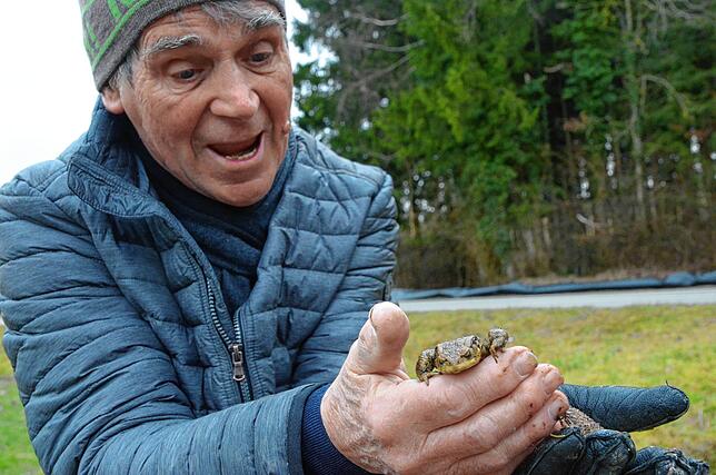 Naturfreund Klaus Grünewald freut sich über jede gerettete Erdkröte.