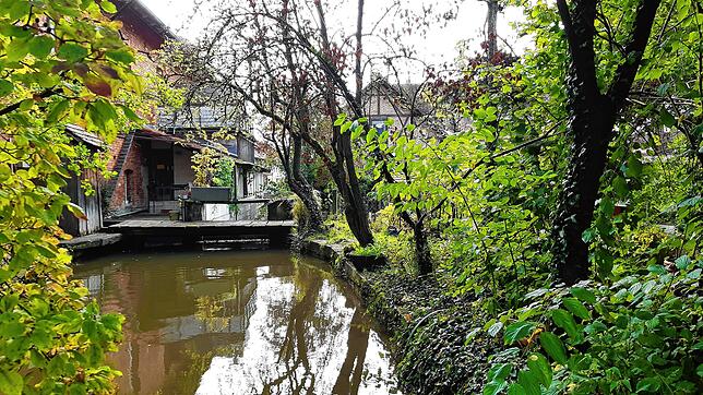 Die bestehende Staustufe hindert Fische am Wandern, weshalb eine Aufstiegshilfe errichtet werden soll.