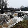 Der Biberdamm bei Deggenhausertal ist recht stabil gebaut. Wegen der Schneeschmelze und dem andauernden Regen ist die Deggenhauser Aach ...