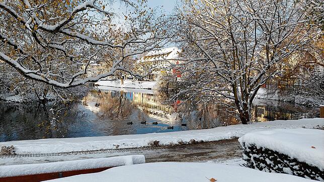 Winterimpression am Pfullendorfer Stadtsee.