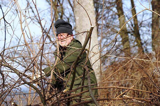Historiker Fredy Meyer rückt dem Unkraut auf der Burgruine zuleibe.