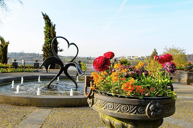 Auf der Mainau können Spaziergänger nach ersten Zeichen des Frühlings Ausschau halten.