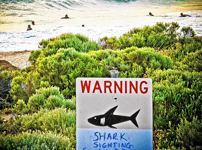 Ein Schild in Strandnähe warnt vor Hai-Attacken.