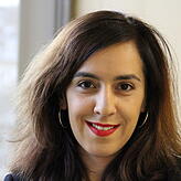 Nese Erikli, Grüne
