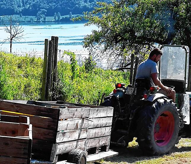 Um eine Veranstaltung mit diesen Traktor mit Anhängern ging es in einem Rechtsstreit zwischen einem Landwirt aus Lippertsreute und der ...