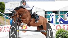 Lokalmatador Niklas Krieg zählt beim Fest der Pferde zu den aussichtsreichen Startern. Bilder: Roger Müller