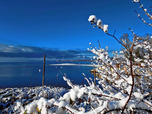 Endlich Schnee! Blick vom Fischbacher Yachthafen in Richtung Immenstaad.
