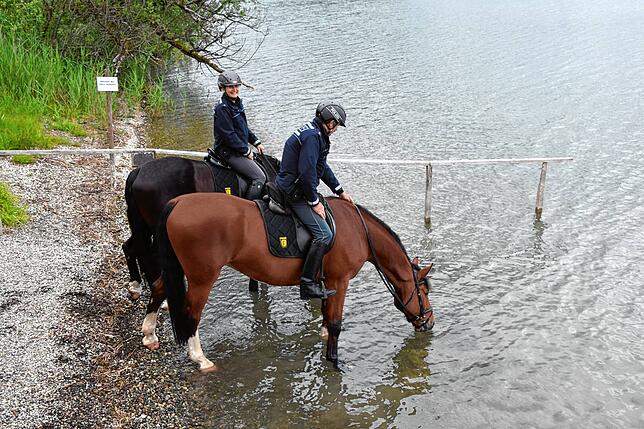 Pause im Naturschutzgebiet bei der Aussichtsplattform: Die Polizei-Pferde genießen das Seewasser.