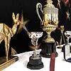 Rund 80 Gegenstände aus Beckers Privatbesitz standen in London zur Auktion. Darunter waren ein Bambi, zwei Renshaw-Trophäen, die ...