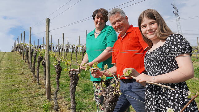 Sie ziehen an einem Strang, nicht nur, wenn es um Wein geht (von links): Sylvia, Mathias und Sophia Dilger vom gleichnamigen Weingut in ...