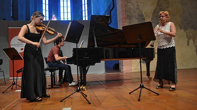 Dozenten der Musikakademie Villingen-Schwenningen in Aktion auf der Bühne des Franziskaner Konzerthauses (von links): Theresa Lechner, ...