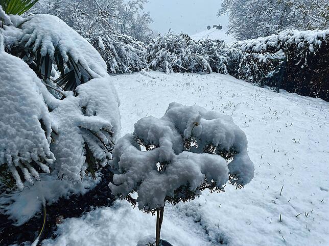 Winter auf dem Waldshuter Haspel: Auch hier hat es seit den frühen Morgenstunden geschneit.