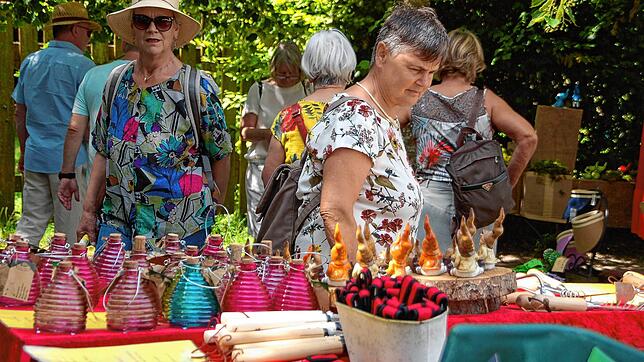 Zu besten Zeiten strömten bis zu 13.000 Besucher für ein Diga-Wochenende in der Park von Schloss Beuggen. Bild: Archiv, Petra Wunderle