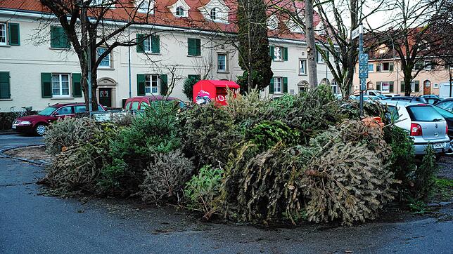 Auch in Konstanz-Petershausen liegen sie am Platz An der Linde.