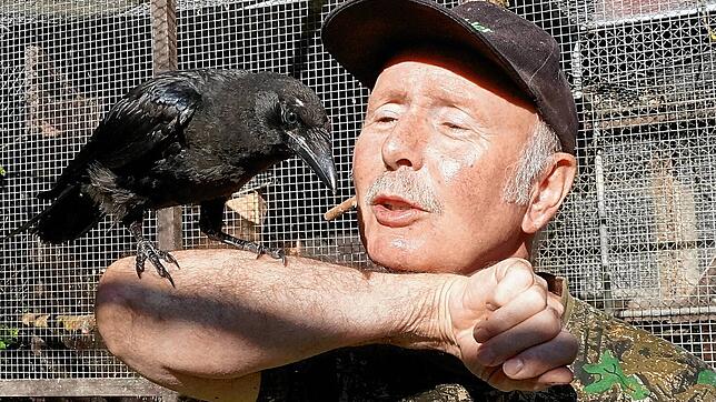 Wildgehege-Mitarbeiter Hubert Rossa kümmert sich um die ebenso selbstbewusste wie zutrauliche Rabenkrähe, bis eine neue Lösung für sie ...