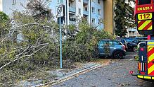 In der Alemannenstraße stürzte am Nachmittag ein Baum um. Um 17.24 Uhr fiel noch ein zweiter Baum und begrub einen Mini Cooper unter ...