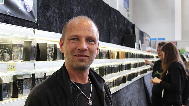 Hunderte kleine Fische an der Wand aufgereiht und dazwischen: Peter Bärwald. Er ist Gründungsmitglied des Vereins der Kampffischfreunde.
