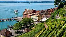 Seelage: Blick vom neuen Schloss Meersburg über die Rebhänge.