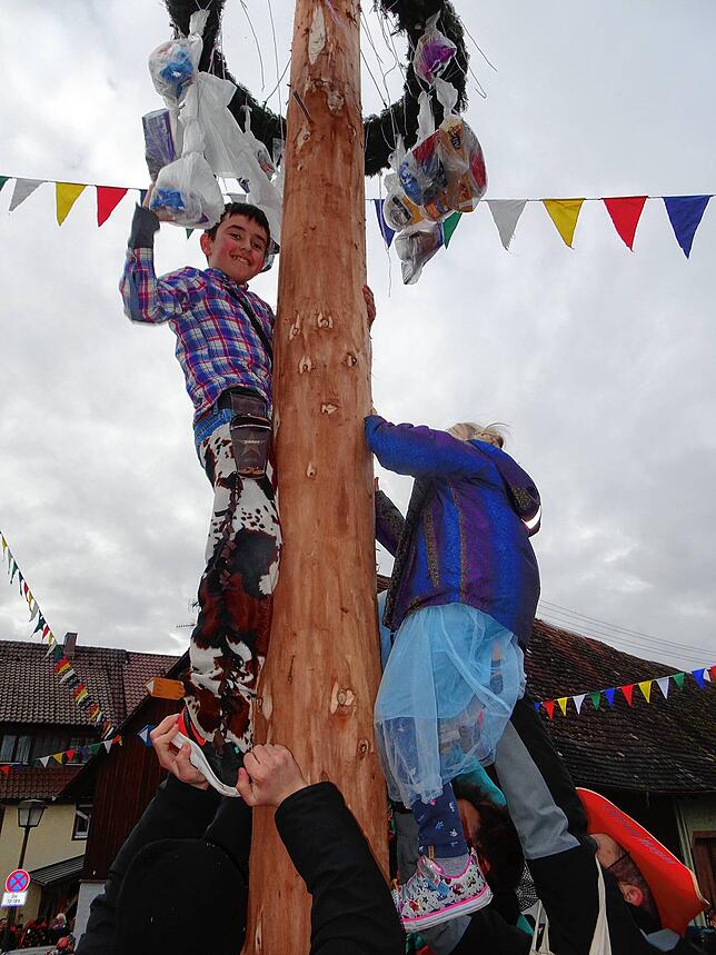 Narrensamen am Kletterbaum