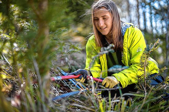 Voluntourismus ist im Trend &ndash; also im Urlaub etwas Gutes für die Natur zu tun.