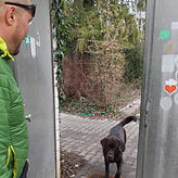 Hereinspaziert! Rainer Pohl und sein Labrador Yoko holen die tierischen Gäste zum Gassi gehen ab.
