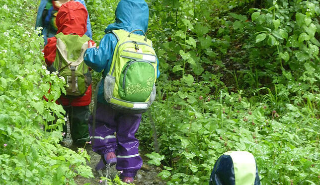 Naturerlebnis pur: Im Sommer machen die Kinder des Waldkindergartens mit der passenden Kleidung schon einmal eine kleine Wanderung durch ...