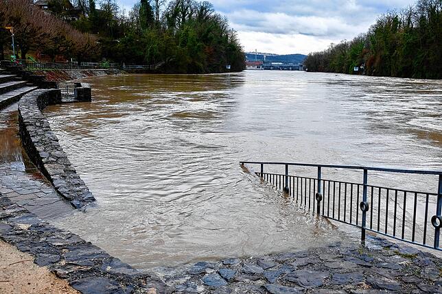 Das Wasser des Rheins trat über das Ufer.