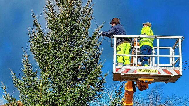 Weniger Weihnachtsbäume gibt es in der Region Geisingen. Alle sind aber mit LED-Beleuchtung bestückt. Das Bild zeigt Uwe Schupp (links) ...