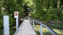 Der Steg am Fuß der gesperrten Marienschlucht muss erneuert werden, damit Baumaterial für spätere Maßnahmen gebracht werden kann. ...