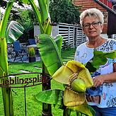 Corina Bluhm mit der Bananenstaude und einer schönen Blüte.