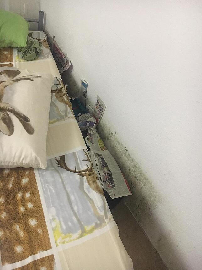 Am 17.12.2019 schickte Noradeen Almahmada dieses Foto. Demnach gibt es in der Wohnung nun ein Schimmel-Problem.