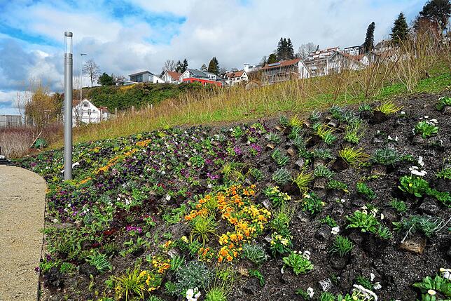 Einem detaillierten Pflanzplan folgend, verteilen die Gärtner die Blumen an den richtigen Stellen. Im Laufe der Woche werden sie nach ...