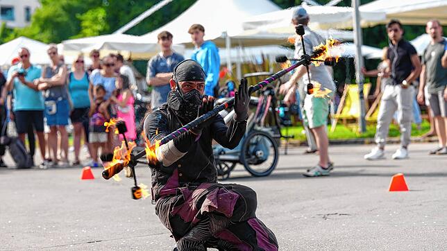 Bild : Kulturufer in Friedrichshafen: Buntes Treiben am Tag (Teil 1)