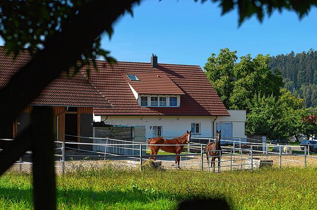 Bild 2: Leiser Warntag im Bodenseekreis, doch im Tettnanger Hinterland heulten Sirenen: So lief der Probealarm um 11 Uhr ab