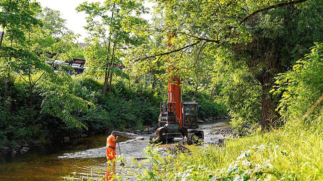 Bagger im Einsatz: In der Brigach gehen die Renaturierungsarbeiten voran. Der Fluss soll wieder bessere Bedingungen für ...