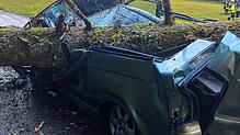 Ein Nadelbaum ist am Samstag in Dachsberg auf ein Fahrzeug gestürzt und hat dies vollständig zerstört. Der Fahrer und seine Beifahrerin ...