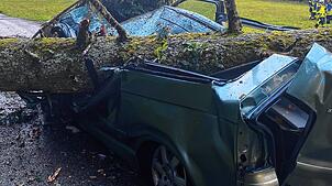 Ein Nadelbaum ist am Samstag in Dachsberg auf ein Fahrzeug gestürzt und hat dies vollständig zerstört. Der Fahrer und seine Beifahrerin ...