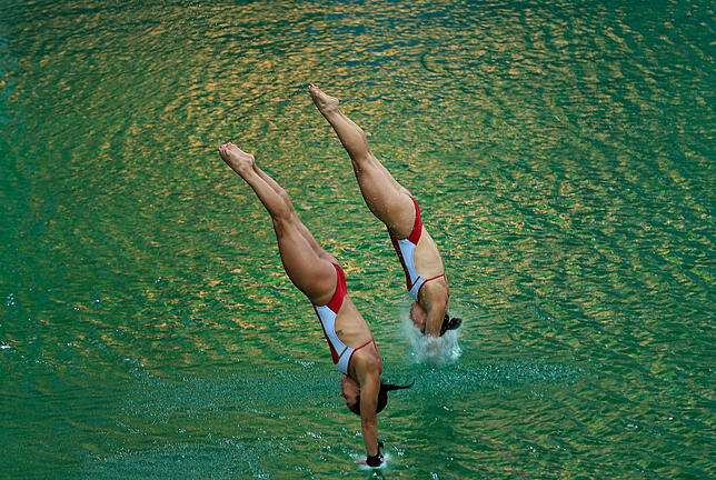 Das berüchtigte grüne Schwimmbecken in Rio bestärkte die Forscher, dass ihre Arbeit richtig und wichtig war.