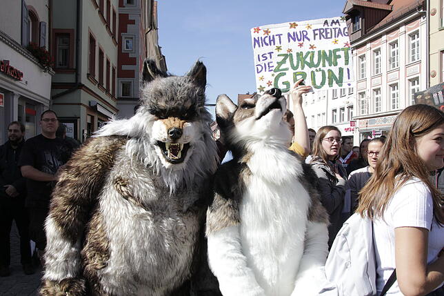 Bild 7: Bilder von der Fridays for Future-Demonstration in Villingen