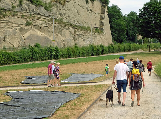 Es gibt auch noch zahlreiche &bdquo;schwarze Löcher&ldquo; auf dem Gelände. Sie sind reserviert für eine Bepflanzung mit blühendem ...