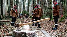 Bild : Etz kummt de Narrenbom: So kommt der Narrenbaum aus dem Wald in die Stadt