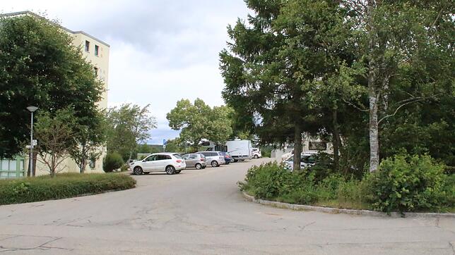 Ein Teil des Parkplatzes beim Appartmenthaus in Dittishausen kommt neben fünf weiteren Alternativen in Löffingen und seinen Ortsteilen ...