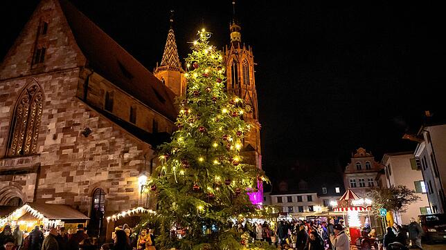 Unübersehbar, der prächtige Weihnachtsbaum vor dem Münster.