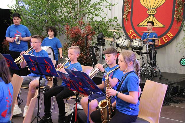 Bild 11: Bilder vom Bezirksmusikfest Schwerzen am Freitag