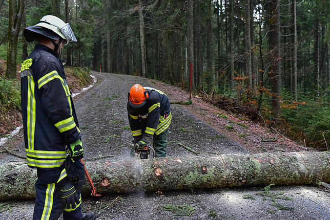 Die Feuerwehren hatten wie hier in St. Georgen, zahlreiche Einsätze, um umgestürzte Bäume von den Straßen zu entfernen. Bild: Roland Sprich