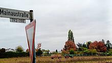 Hier an der Mainaustraße wird derzeit noch geerntet. In einigen Jahren könnte hier schon ein neues Wohnquartier stehen.