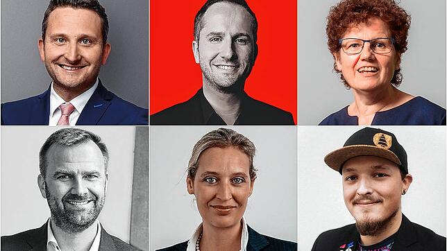 Die Kandidaten für den Wahlkreis Bodensee (von links oben): Volker Mayer-Lay (CDU), Leon Hahn (SPD), Maria Heubuch (Grüne), Christian ...