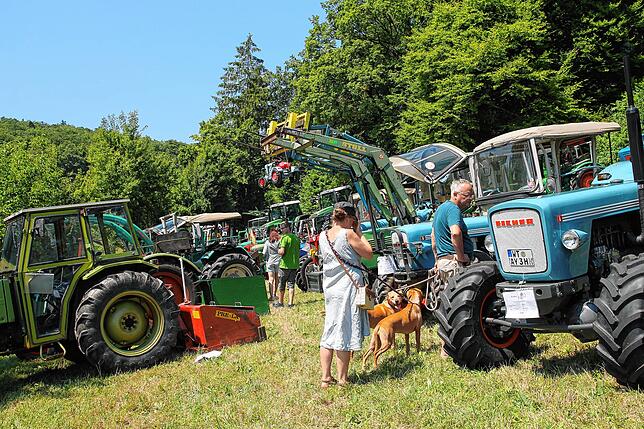 Oldtimertreffen in Gaiß: Traktoren-Oldtimer in allen Varianten, mit Schildern zum Baujahr und den technischen Details.