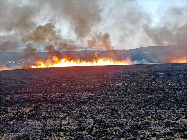 Ein Acker stand 2023 in Gottmadingen in Flammen. Ohnehin hatten die Feuerwehren im Hegau jede Menge zu tun.